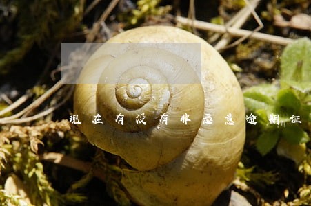 现在有没有非恶意逾期证明 现在有没有非恶意逾期证明