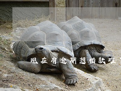现在有逾期想借款难了 现在有逾期想借款难了