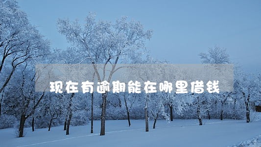 现在有逾期能在哪里借钱 现在有逾期能在哪里借钱