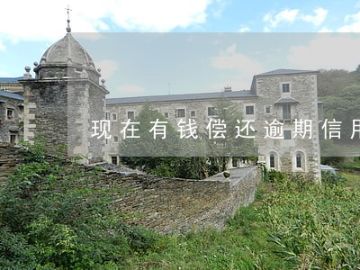 现在有钱偿还逾期信用卡 现在有钱偿还逾期信用卡