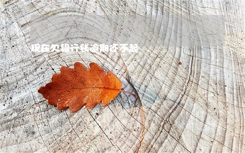现在欠银行钱逾期还不起 现在欠银行钱逾期还不起