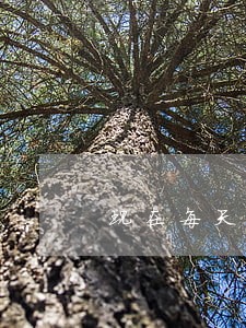 现在每天都有信用卡逾期的人吗 现在每天都有信用卡逾期的人吗
