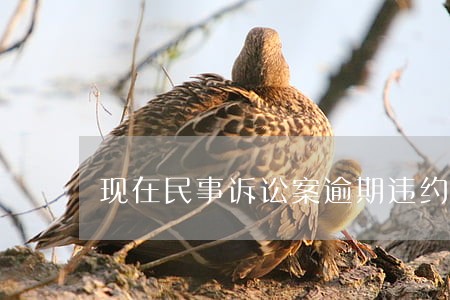 现在民事诉讼案逾期违约金的计算 现在民事诉讼案逾期违约金的计算