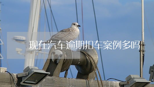 现在汽车逾期扣车案例多吗 现在汽车逾期扣车案例多吗