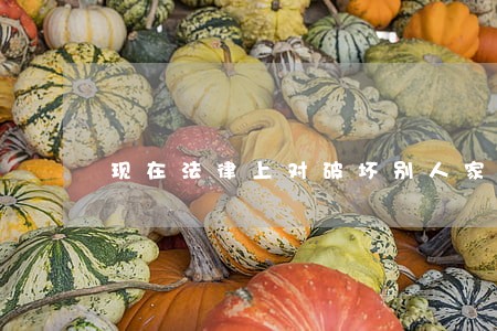 现在法律上对破坏别人家庭的人 现在法律上对破坏别人家庭的人