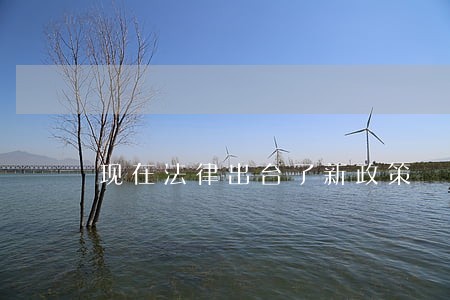 现在法律出台了新政策 现在法律出台了新政策