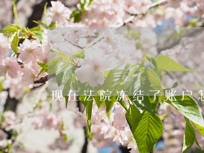 现在法院冻结了账户怎么办 现在法院冻结了账户怎么办