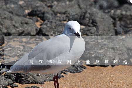 现在法院判决他应该还给我钱 现在法院判决他应该还给我钱
