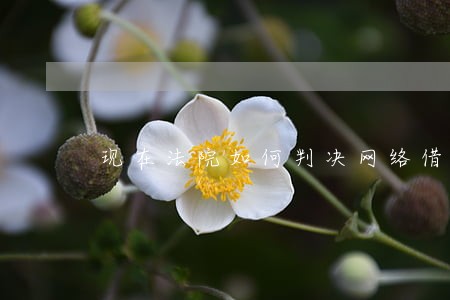 现在法院如何判决网络借贷 现在法院如何判决网络借贷