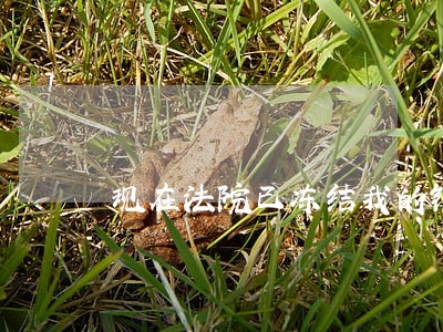 现在法院已冻结我的银行卡 现在法院已冻结我的银行卡