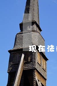 现在法院已经给我发了支付令 现在法院已经给我发了支付令