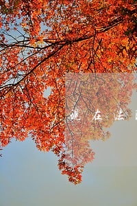 现在法院已经起诉我 现在法院已经起诉我