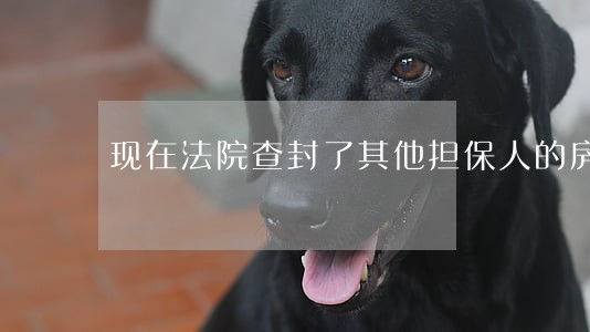 现在法院查封了其他担保人的房产 现在法院查封了其他担保人的房产