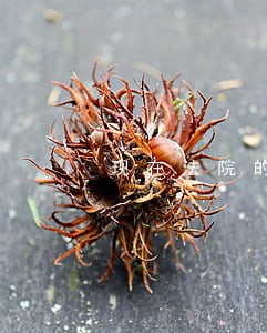 现在法院的起诉程序改了吗 现在法院的起诉程序改了吗