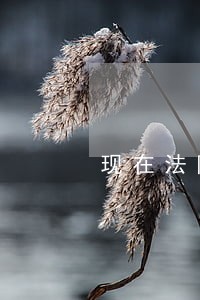 现在法院给我拉进失信黑名单了 现在法院给我拉进失信黑名单了