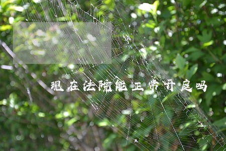 现在法院能正常开庭吗 现在法院能正常开庭吗