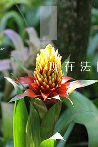 现在法院要求结案 现在法院要求结案