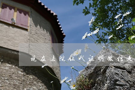 现在法院让我证明微信是他的