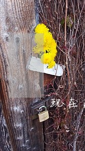 现在法院说他无罪 现在法院说他无罪