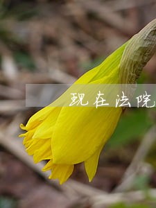 现在法院起诉费是多少时间 现在法院起诉费是多少时间