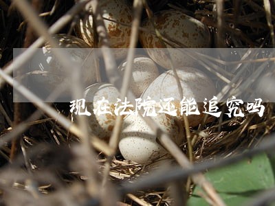 现在法院还能追究吗 现在法院还能追究吗