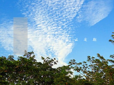 现在泰国签证逾期 现在泰国签证逾期