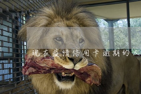 现在疫情信用卡逾期的人多吗 现在疫情信用卡逾期的人多吗