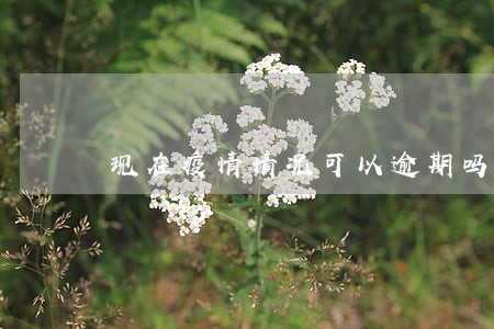 现在疫情情况可以逾期吗 现在疫情情况可以逾期吗