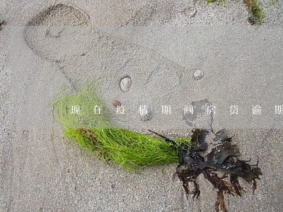 现在疫情期间房贷逾期了 现在疫情期间房贷逾期了