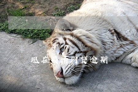 现在疫情网贷逾期 现在疫情网贷逾期