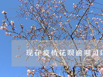 现在疫情花呗逾期可以吗 现在疫情花呗逾期可以吗