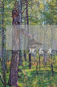 现在疫情贷款逾期会上征信吗 现在疫情贷款逾期会上征信吗