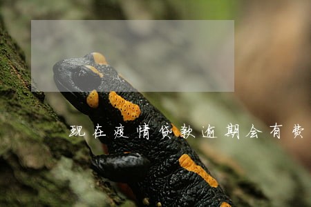 现在疫情贷款逾期会有费用吗 现在疫情贷款逾期会有费用吗