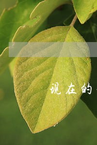 现在的七天贷逾期没钱还怎么办 现在的七天贷逾期没钱还怎么办