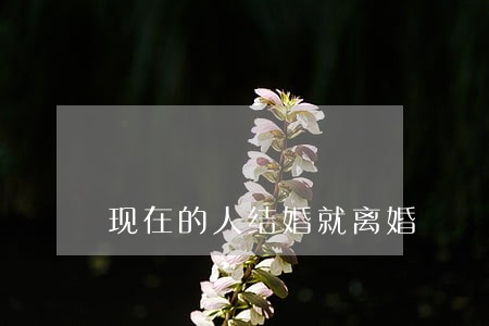 现在的人结婚就离婚 现在的人结婚就离婚