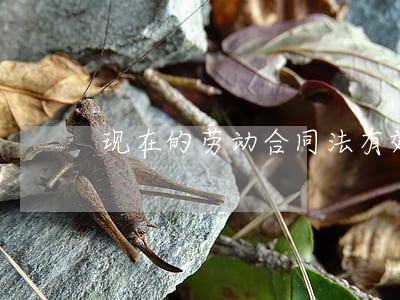 现在的劳动合同法有效吗 现在的劳动合同法有效吗