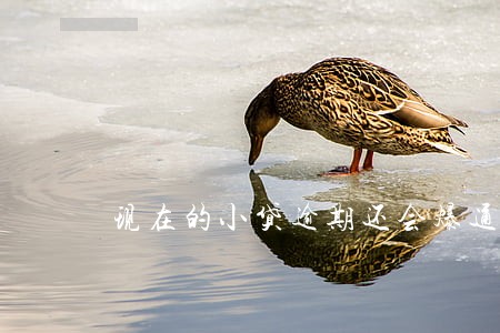 现在的小贷逾期还会爆通讯录吗 现在的小贷逾期还会爆通讯录吗