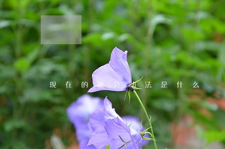 现在的新劳动法是什么 现在的新劳动法是什么