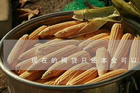 现在的网贷只还本金可以吗 现在的网贷只还本金可以吗