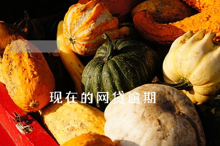 现在的网贷逾期 现在的网贷逾期