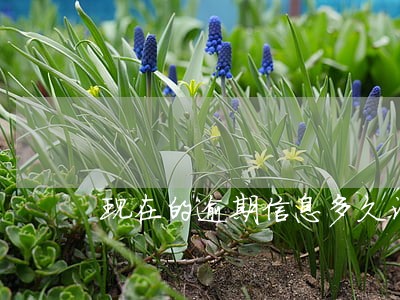 现在的逾期信息多久消除 现在的逾期信息多久消除