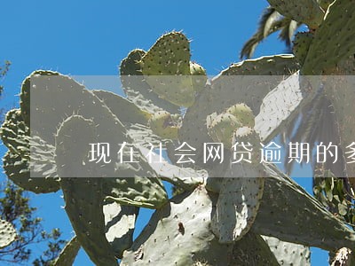 现在社会网贷逾期的多吗 现在社会网贷逾期的多吗