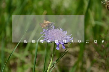 现在票据逾期托收会扣利息嘛 现在票据逾期托收会扣利息嘛
