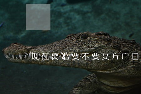 现在离婚要不要女方户口