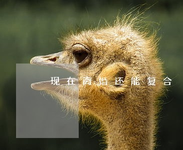 现在离婚还能复合 现在离婚还能复合