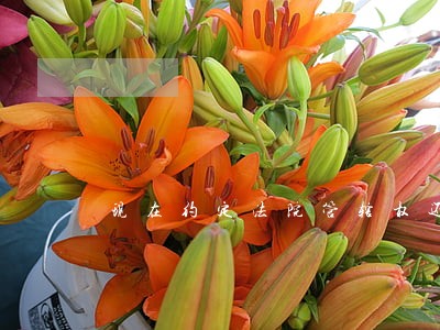 现在约定法院管辖权还有效吗 现在约定法院管辖权还有效吗