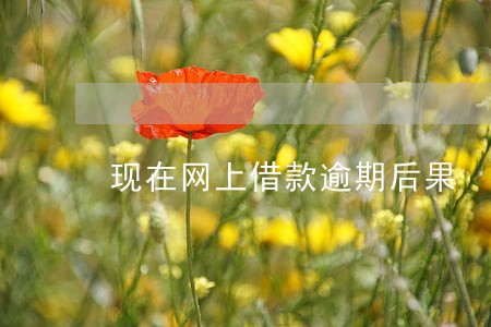 现在网上借款逾期后果 现在网上借款逾期后果