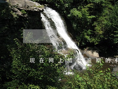 现在网上借款逾期的有多少人 现在网上借款逾期的有多少人