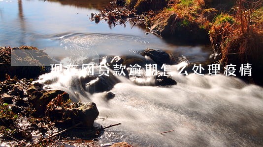 现在网贷款逾期怎么处理疫情 现在网贷款逾期怎么处理疫情