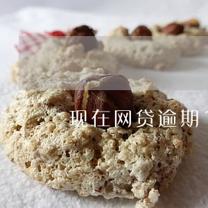 现在网贷逾期1年有什么后果